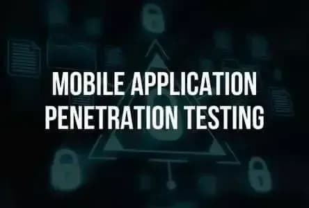 Mobile Application Penetration Testing Service