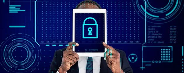 Vulnerability Testing